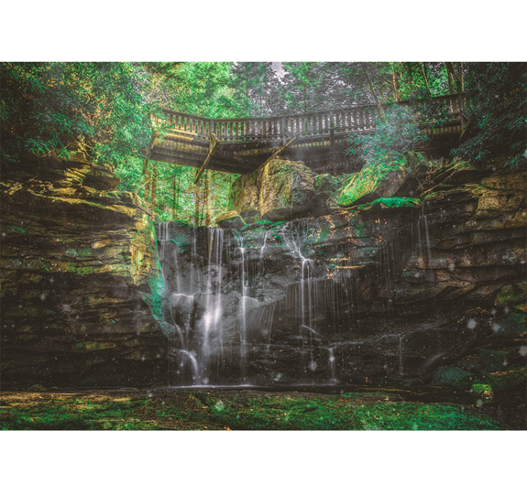 Skovklippe med hængende blade fototapet - TenStickers