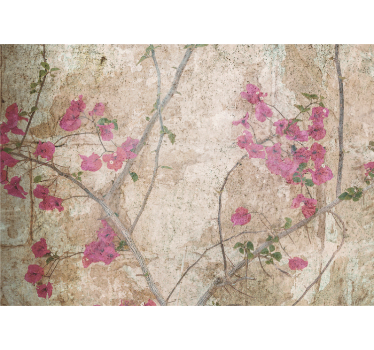 Fototapet blomster pink bougainvillea blomster - TenStickers