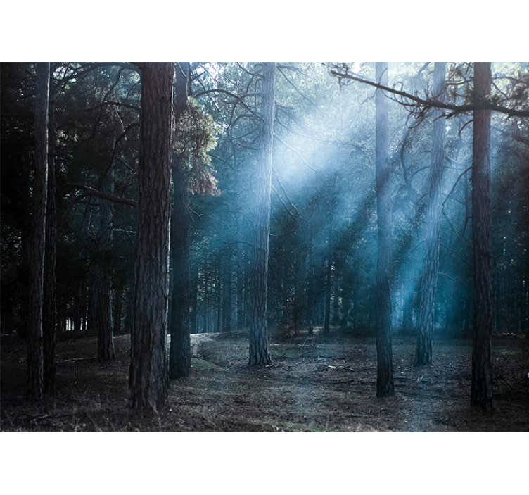 Tåget tåget sti fototapet skov - TenStickers