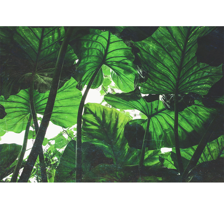 Natur fototapet frodig bladcanope - TenStickers