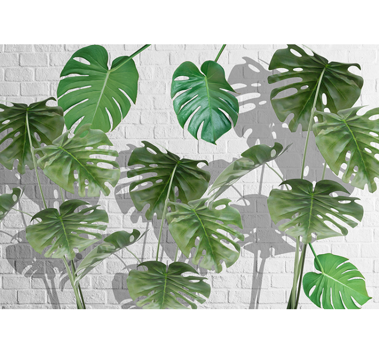 Tapet natur monstera blad arrangement - TenStickers