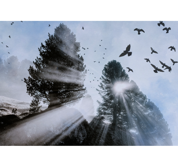 Strålende orest-stråler med fugle fototapet skov - TenStickers