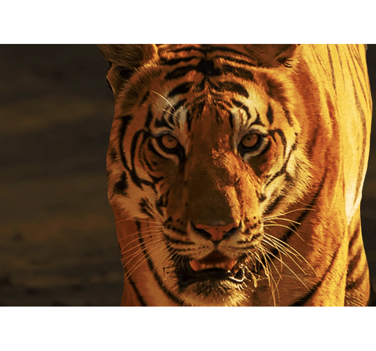 Løve fototapet kongelig tiger blanding - TenStickers