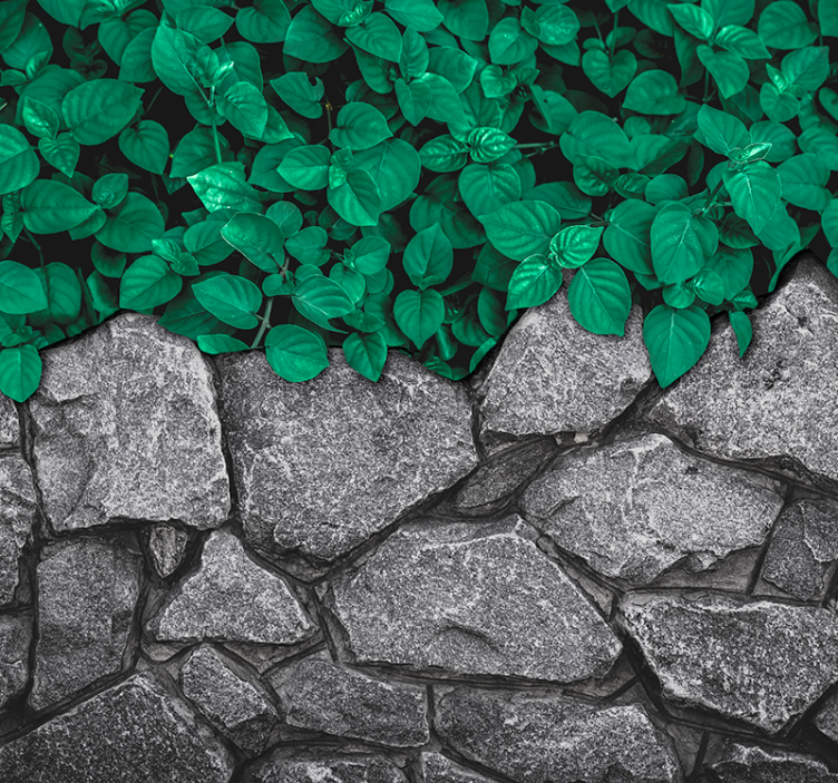 Blade og sten fototapet til stuen - TenStickers