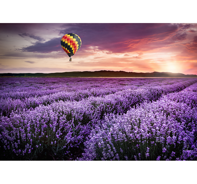 Lavendel varm luft baloon natur fototapet - TenStickers
