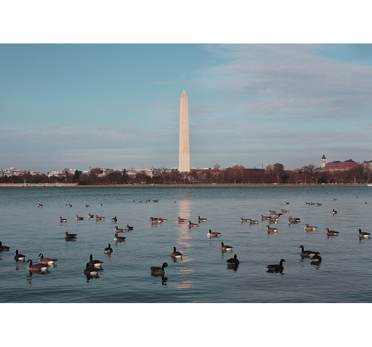 Fototapet af byer washington monument refleksion - TenStickers