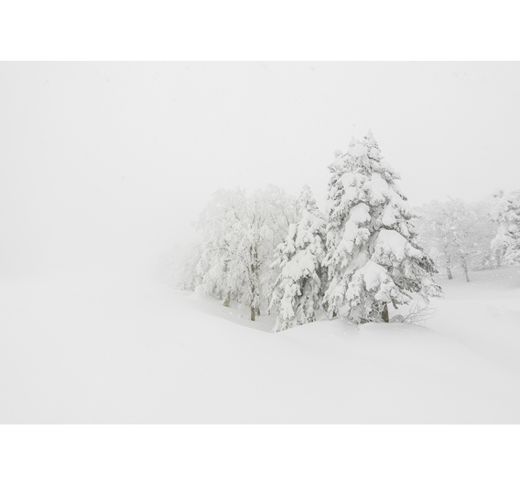 Natur fototapet vinterlig skovscene - TenStickers