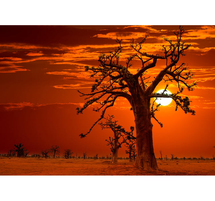 Afrikansk solnedgang landskab fototapet - TenStickers