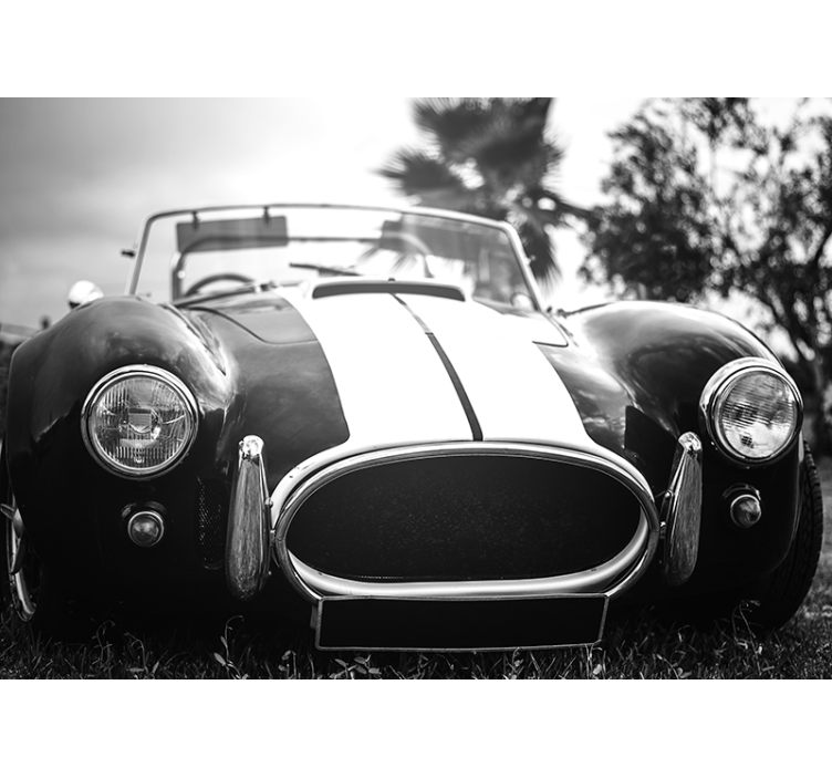 Vintage racerbil fototapet - TenStickers