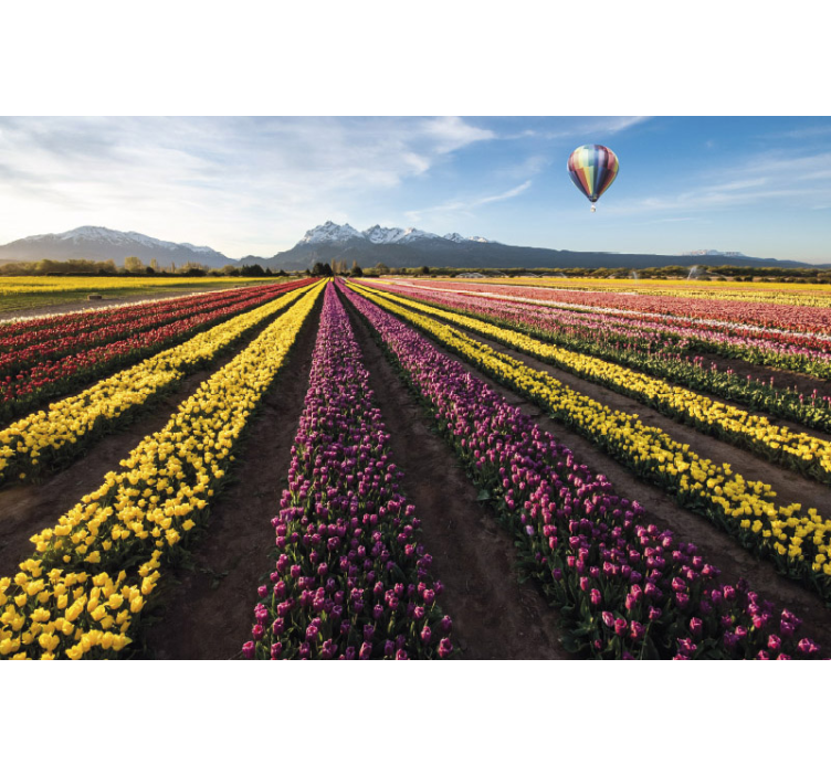 Luftballon over tulipaner tulipan fototapet - TenStickers