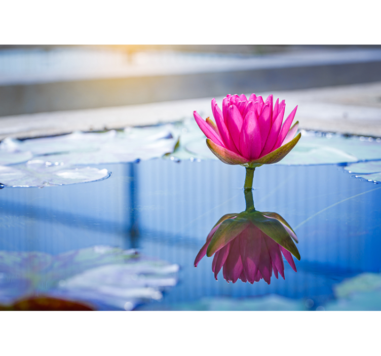 Lyseblåt vand og lyserøde blomster træfototapet - TenStickers