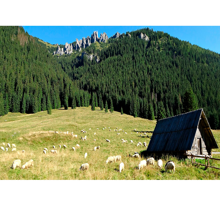 Bjergrig grøn scene landskab fototapet - TenStickers