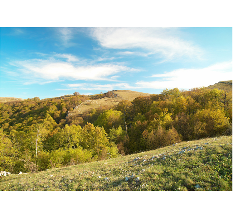 Landskab natur fototapet - TenStickers
