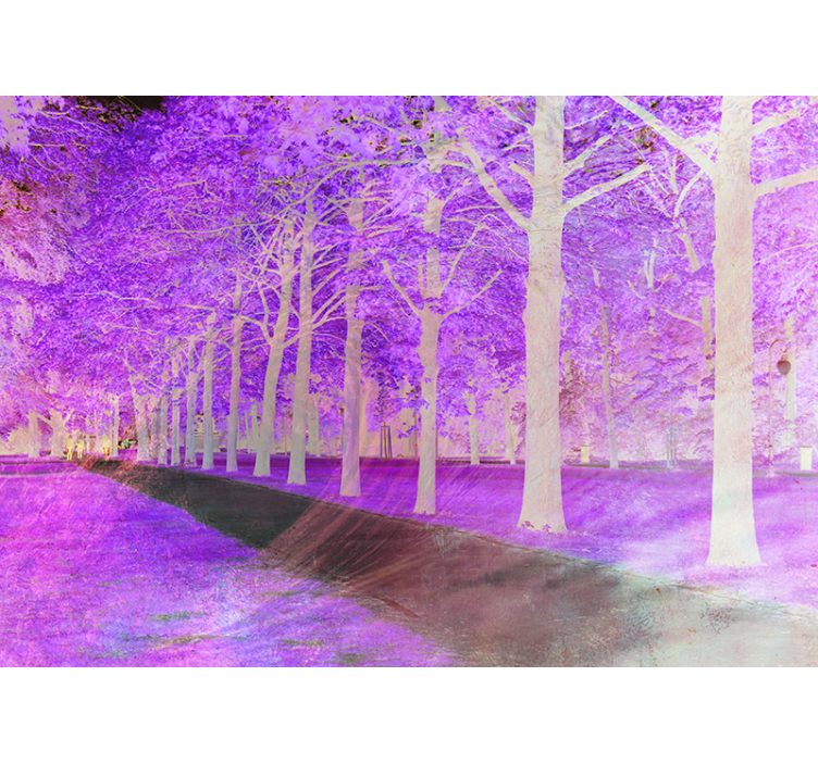 Frodig grøn sti natur fototapet - TenStickers