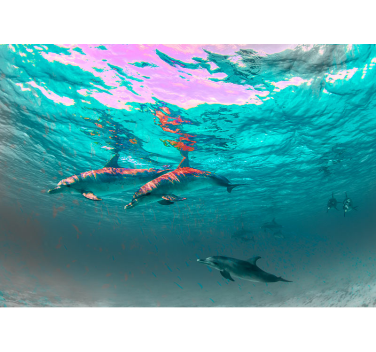 Delfiner svømmer i havet under havmaleri - TenStickers