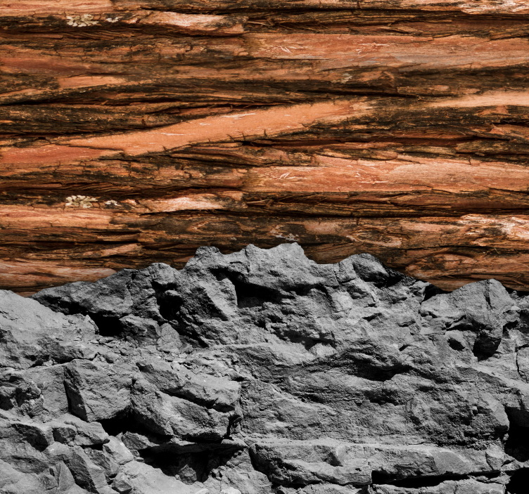 Træ og sten fototapet til stuen - TenStickers