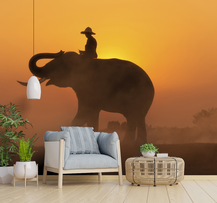 Asiatisk elefant ved solnedgang fototapet - TenStickers