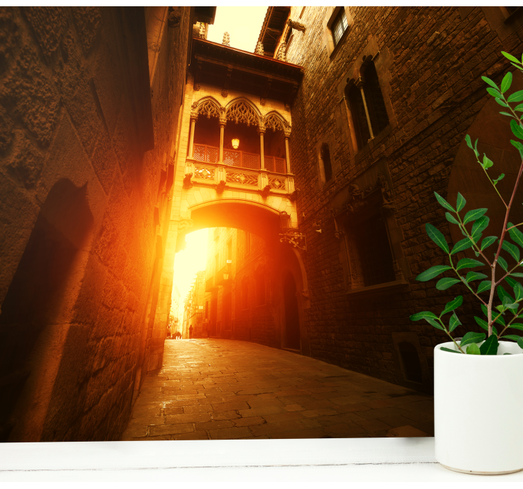 Barri gotisk kvarter og bro fototapet - TenStickers