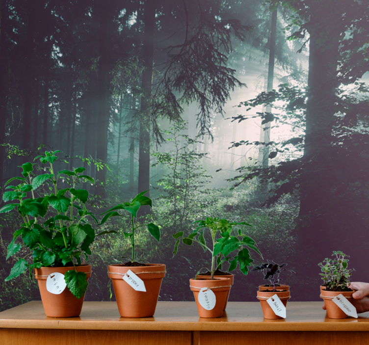 Dybt lysegrøn skov fototapet - TenStickers