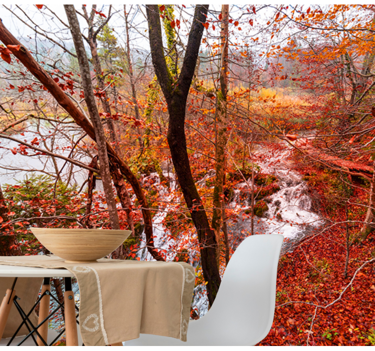 Efterårsskovscene natur fototapet - TenStickers