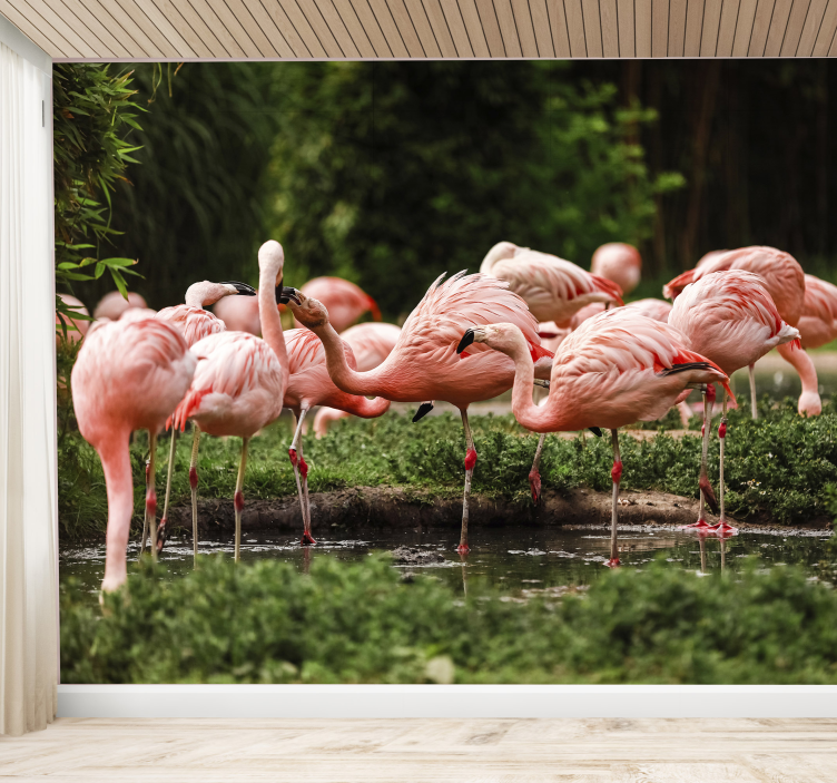 Flamingo gruppe fototapet - TenStickers