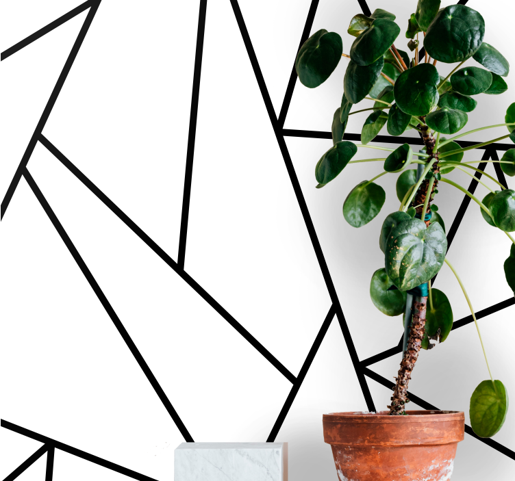 Fototapet abstrakt geometriske sorte linjer - TenStickers