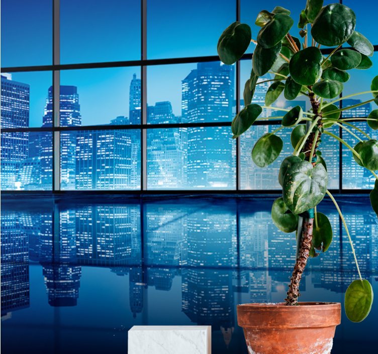 Fototapet af byer naturskøn bynatspejling - TenStickers