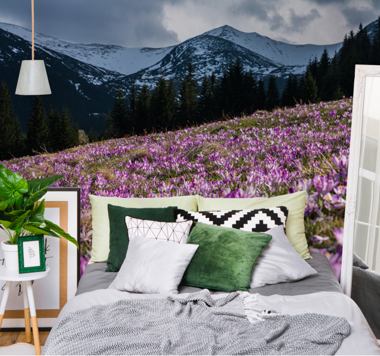 Fototapet blomster krokusblomstermark - TenStickers