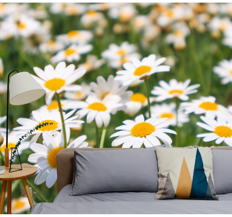 Fototapet blomster margueritter blomstrer lyst - TenStickers