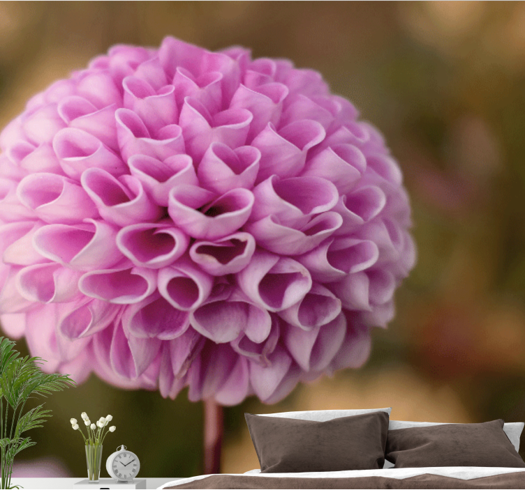 Fototapet blomster pink floral kule - TenStickers