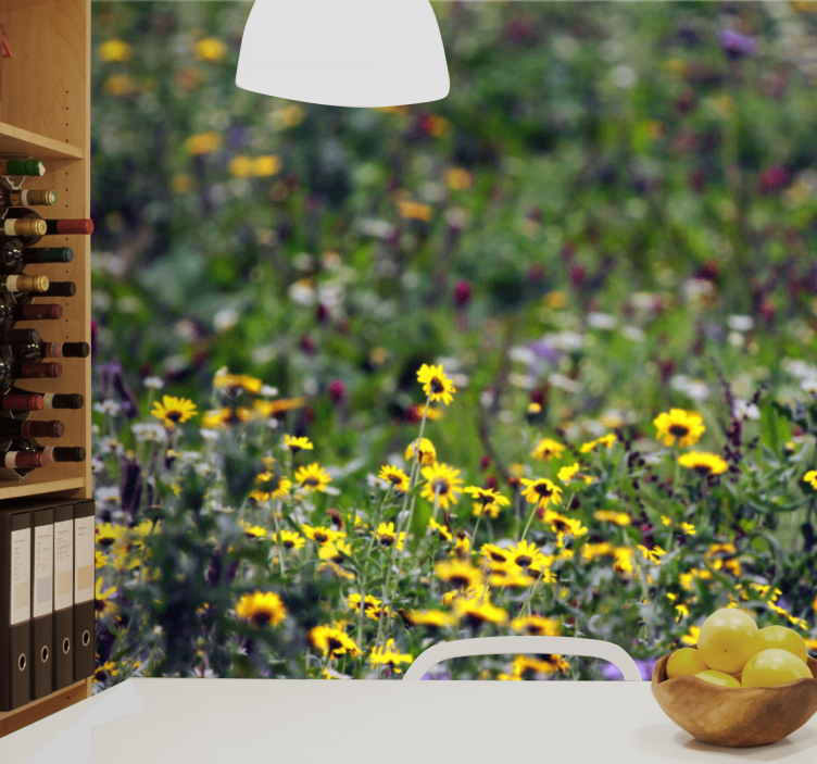 Fototapet blomster solrige engblomster - TenStickers