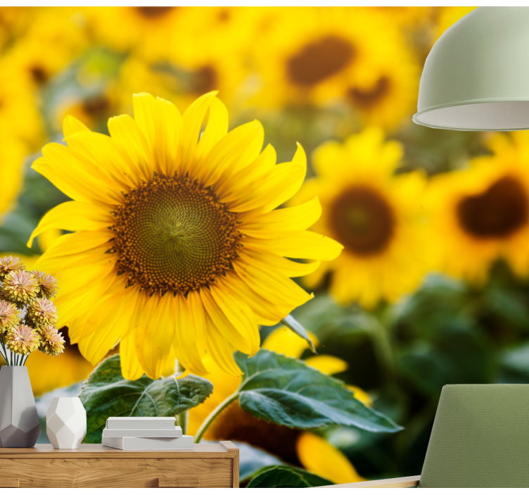 Fototapet blomster solsikkemark blomstring - TenStickers