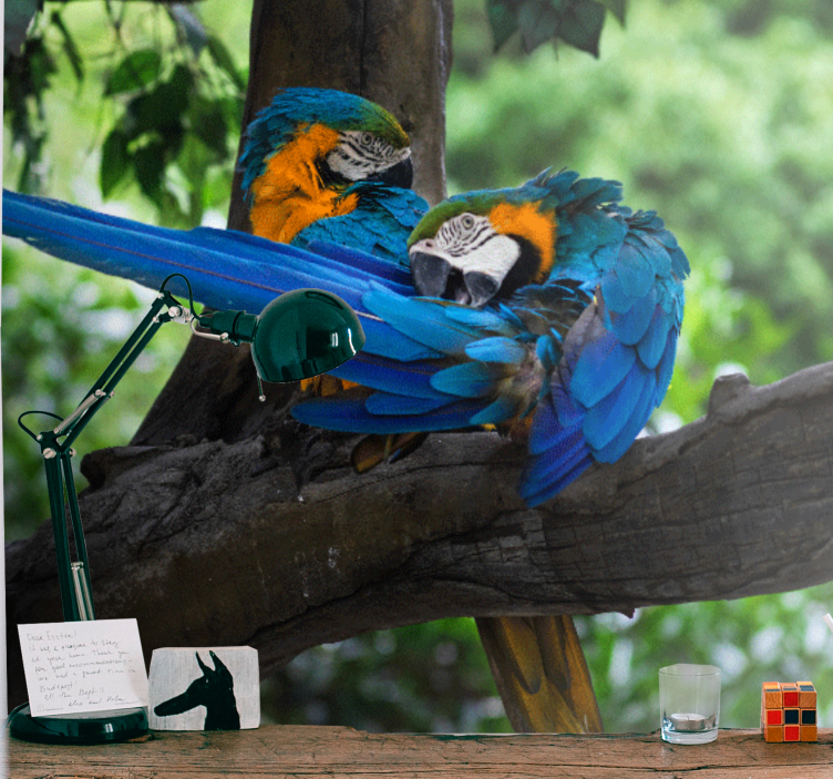 Fototapet dyr farverig makao par - TenStickers