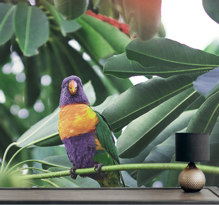 Fototapet dyr farverig papegøje på gren - TenStickers