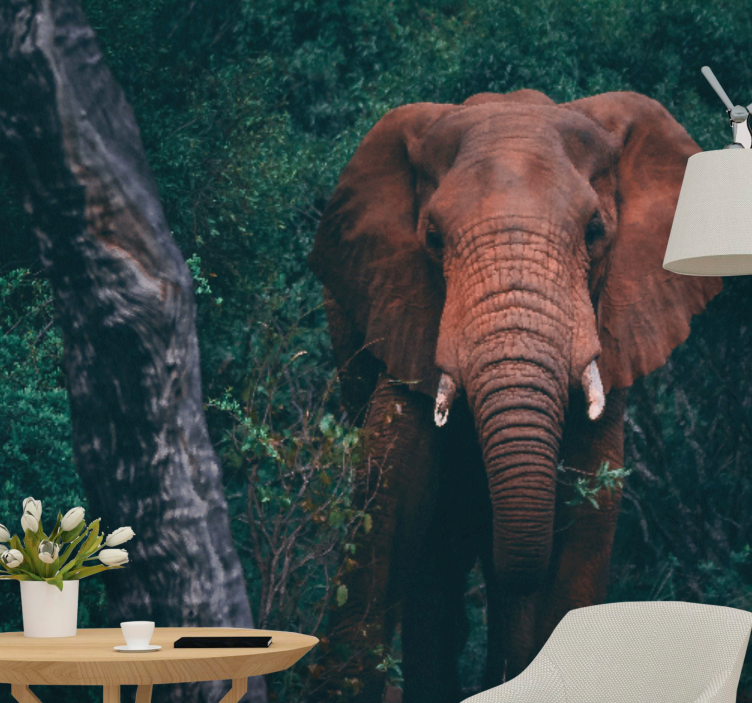 Fototapet dyr majestætisk elefant tilstedeværelse - TenStickers