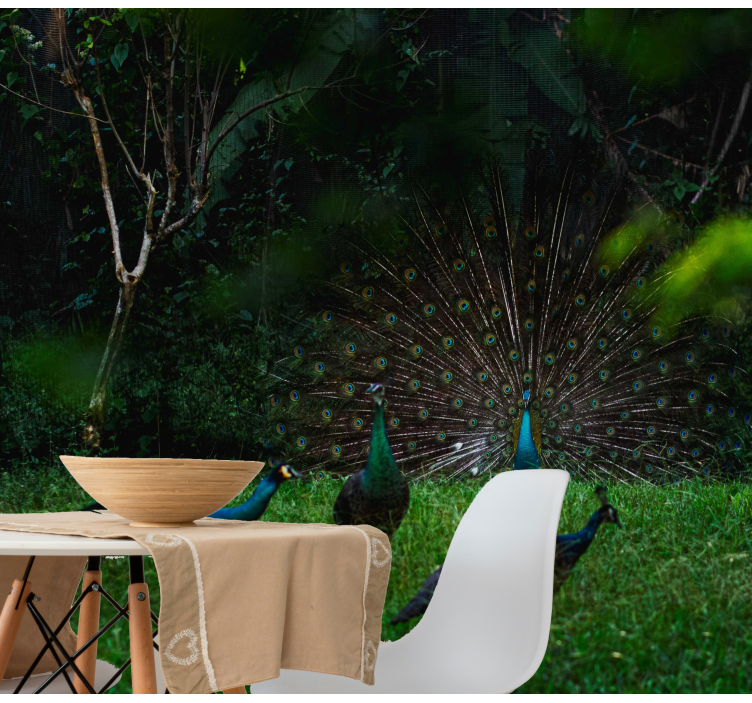 Fototapet dyr påfugl viser fjer - TenStickers