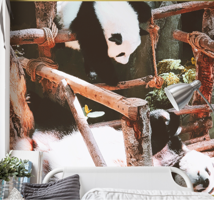 Fototapet dyr panda legescene - TenStickers