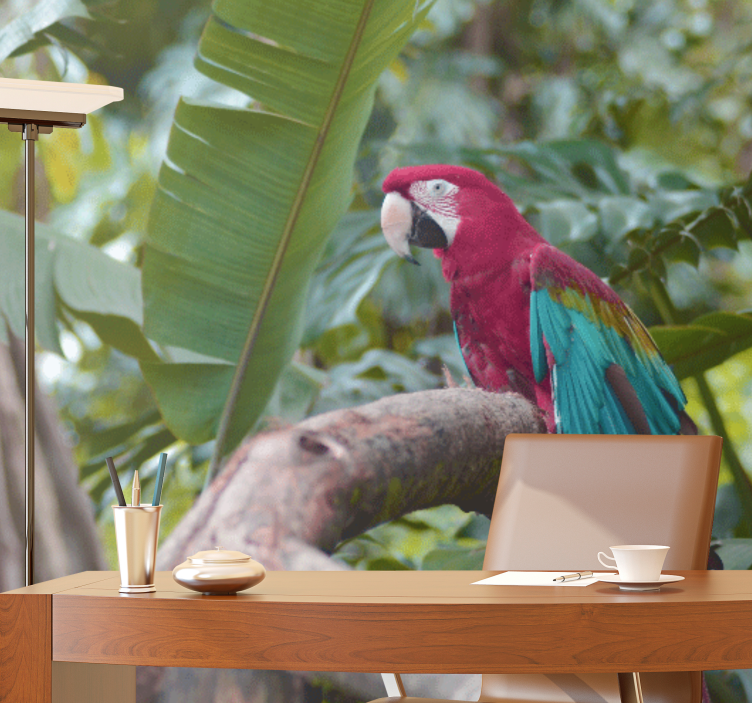 Fototapet elefant farverig ara papegøje - TenStickers