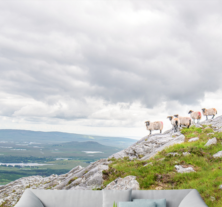 Fototapet elefant lam på skråninger - TenStickers