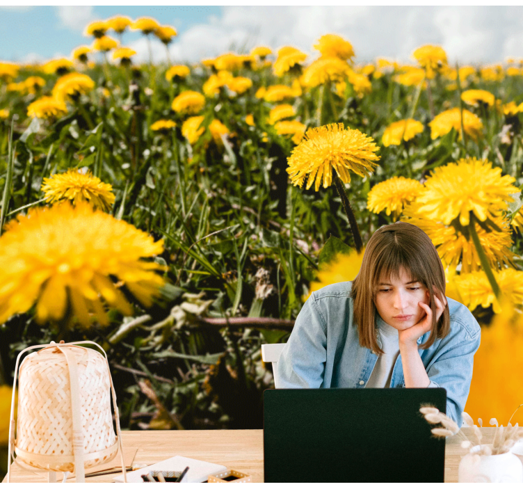 Fototapet mælkebøtte markudsigt - TenStickers