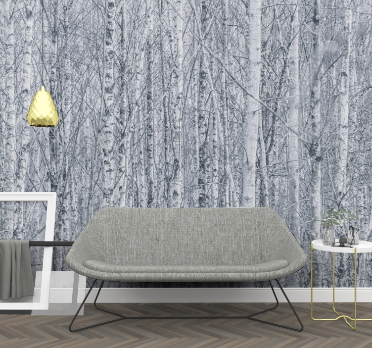 Fototapet skov birkeskov vildmark - TenStickers