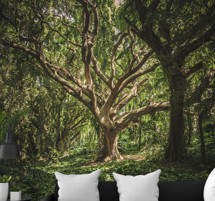 Fototapet skov majestætisk skovkrone - TenStickers