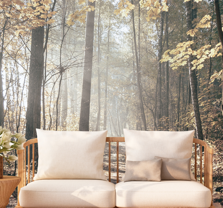Fototapet skov rolig efterårsvej - TenStickers