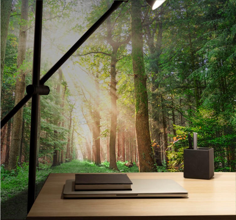 Fototapet skov stille skovsti - TenStickers