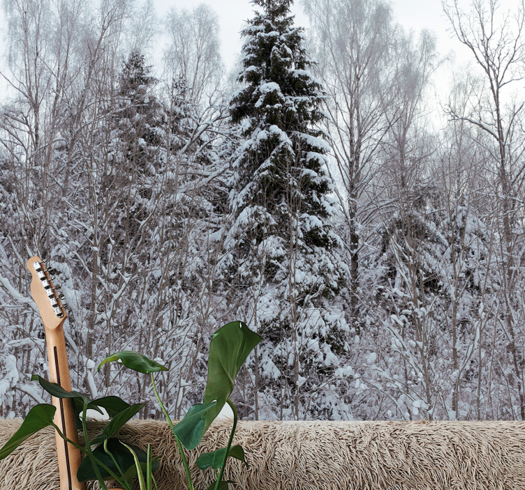 Fototapet skov vinter skovscene - TenStickers