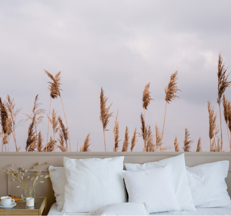 Fototapet træ græsser silhuetter - TenStickers