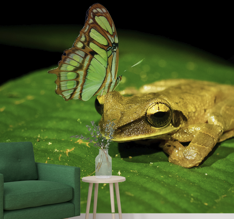 Fredelig konfrontation frø fototapet - TenStickers