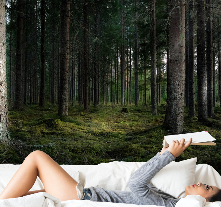 Fredfyldt landskab fototapet skov - TenStickers