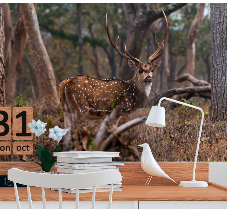 Hjort i skov fototapet - TenStickers