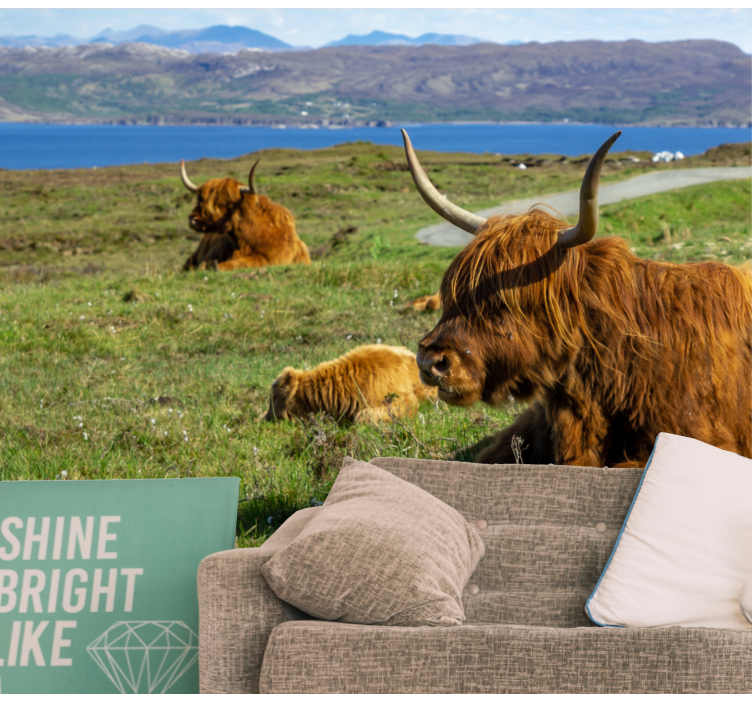 Highland cow group fototapet - TenStickers